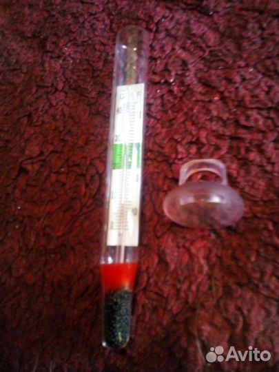 Термометр для аквариума