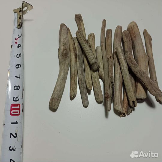 Дрифтвуд Черного моря