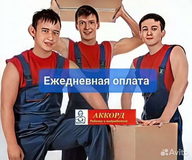 Грузчик, работа/подработка, ежедневная оплата