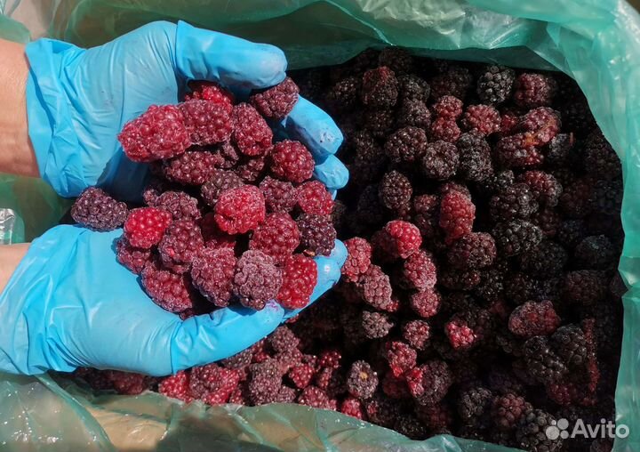 Ежемалина замороженная премиум - класса (целая)