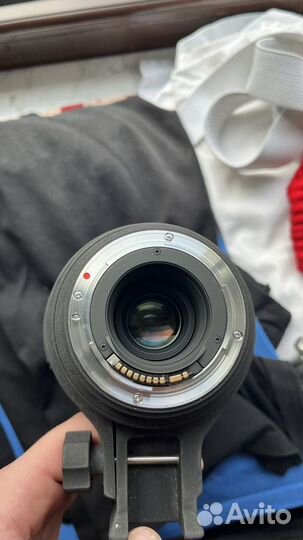 Sigma 150-500 EF for Canon + переходник на sony e