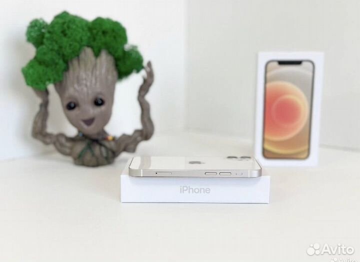 iPhone 12, 256 ГБ