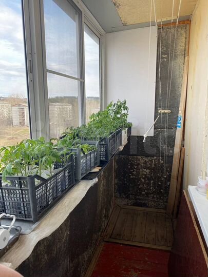 3-к. квартира, 65,9 м², 9/9 эт.