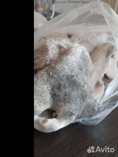 Мясо для собак (говядина)