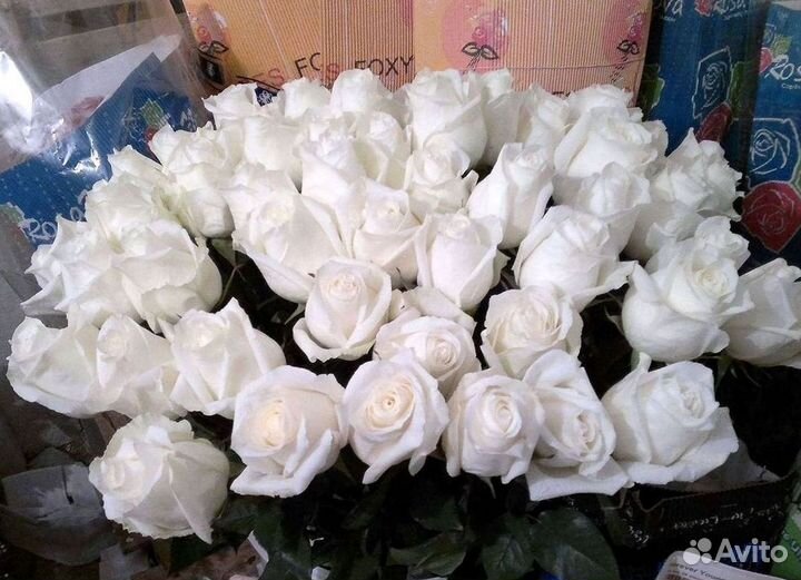 Розы Цветы Букеты 25 51 151 201 101 301 501 опт