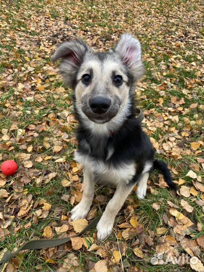 С детства в приюте