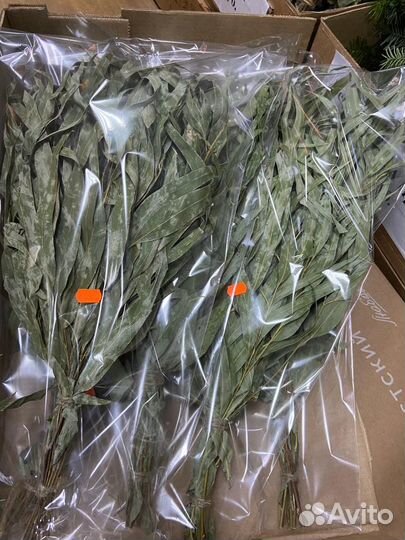 Банные веники в ассортименте