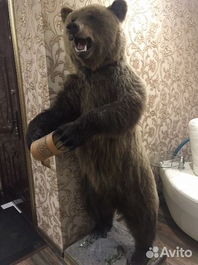 Продам мишаню