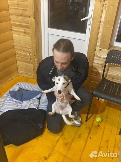 Передержка, для собачек и кошечек в частном доме