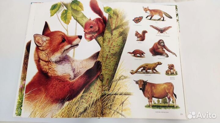 Большой атлас животных