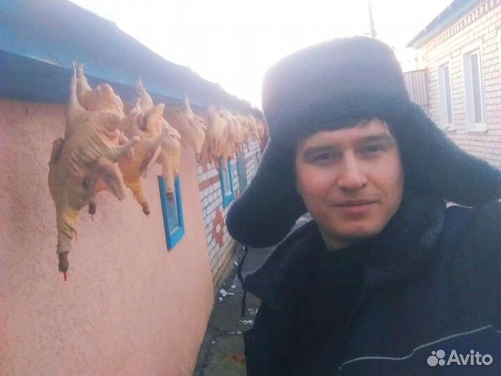 Мясо индоутки гуся кролика