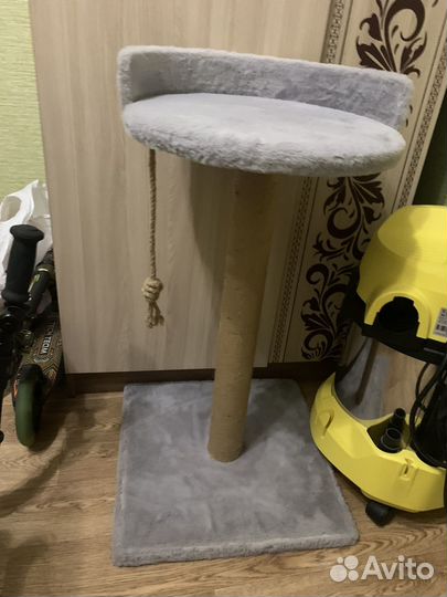 Когтеточка