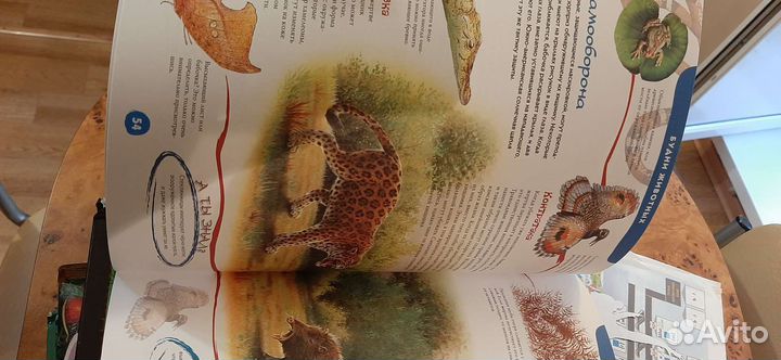 Энциклопедия