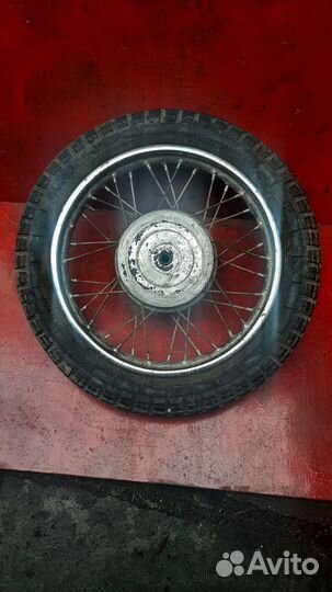 Ява старушка