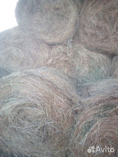 Сено из Ахтубы