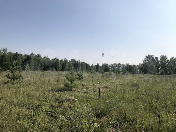 Участок 8 сот. (ИЖС)