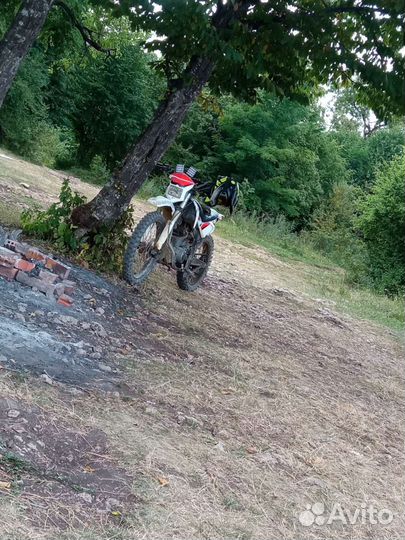 Ирбис ттр 250