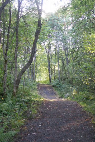 Дом 112 м² на участке 25 сот.