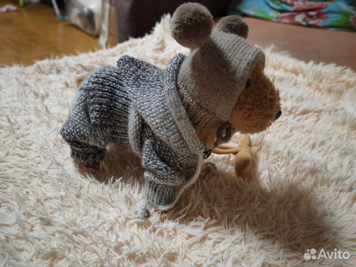 Одежда для маленьких собак