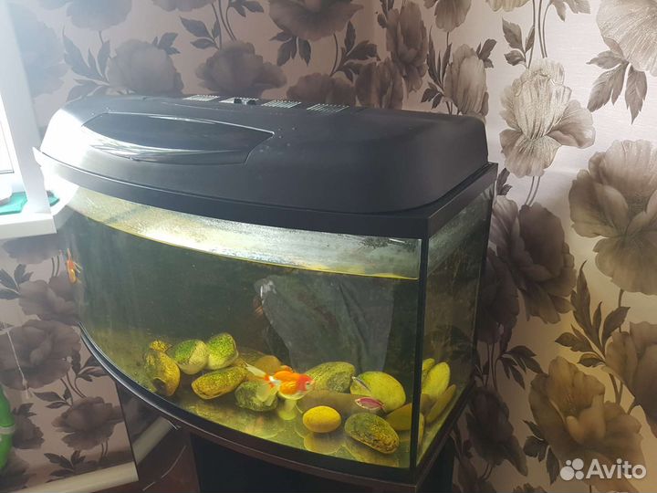 Аквариум с тумбой 100 литров