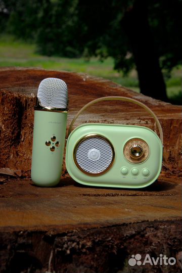 Блютуз колонка караоке 6 голосов jojocat оригинал