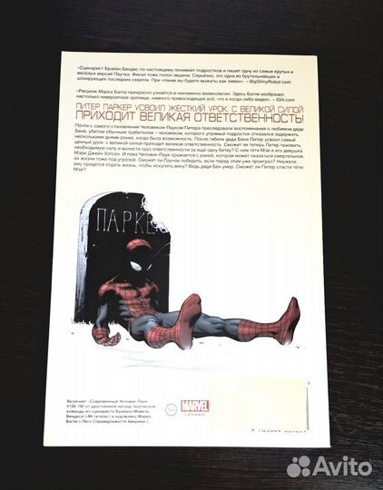 Современный Человек-Паук. Смерть Человека-Паука