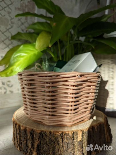 Подарочные корзины