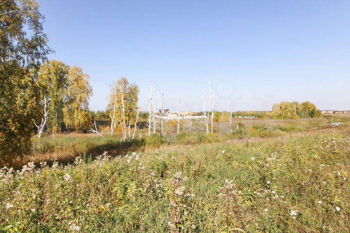 Участок 40 сот. (СНТ, ДНП)