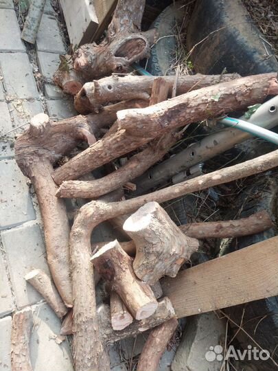 Стволы,слебы,спилы кизила