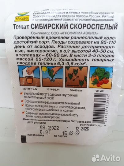 Рассада томатов, перцев и баклажан