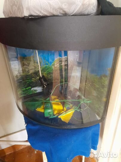 Аквариум