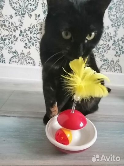 Игрушка для кошек неваляшка с мячиком и перьями