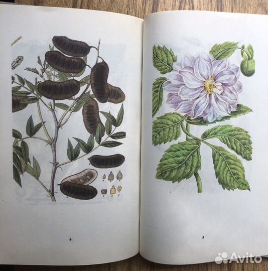 Русский народный лечебник. 1991