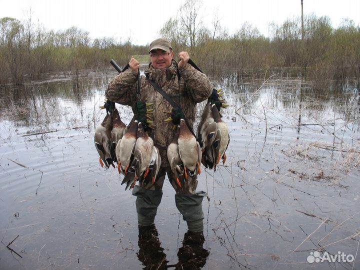 Научу за одно занятие На манках на утку или гуся