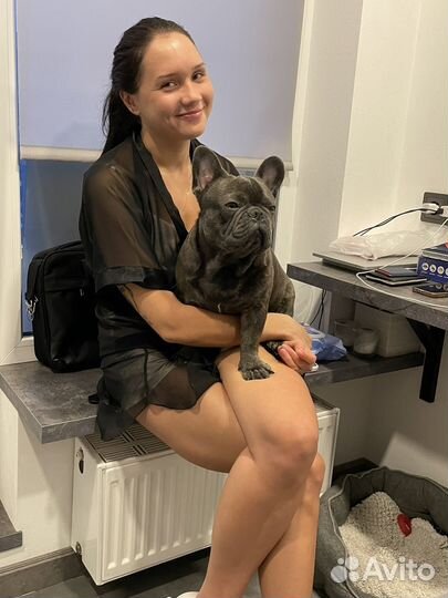 Французский бульдог вязка