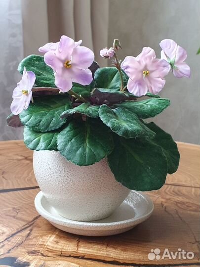 Фиалка. Ручная работа