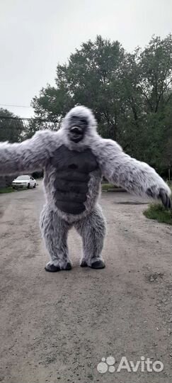 Поздравление в Кургане. Орангутанг на праздник