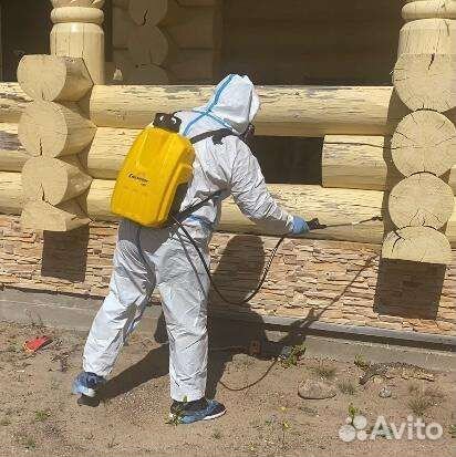 Дезинсекция и дератизация