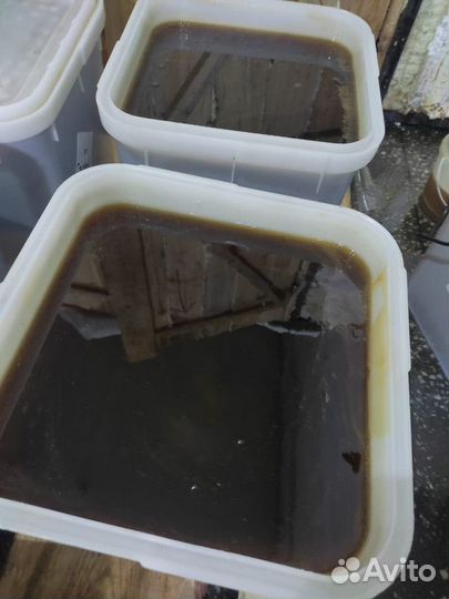 Таёжный мёд опт