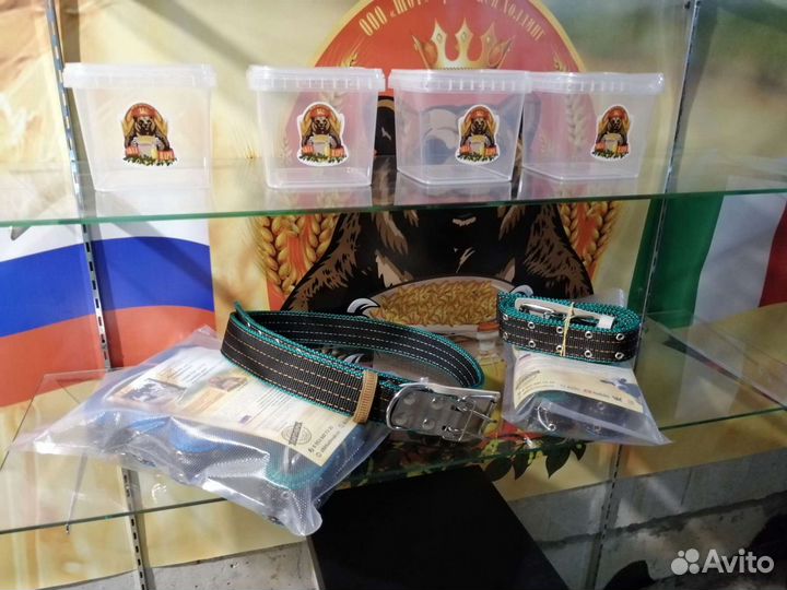 Ошейник для коров быков телят привязь новинка