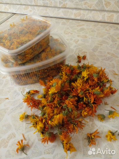 Семена Календулы лекарственной