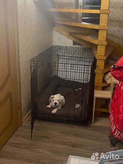 Клетка для больших пород собак в наличии длина 120