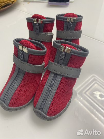 Обувь для собак