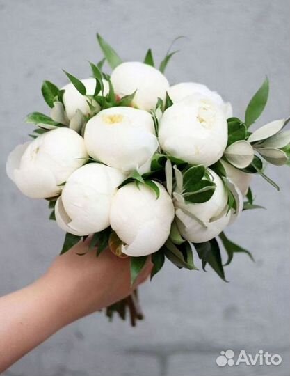 Пионы Букет пионов