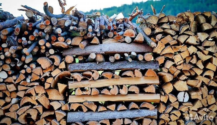 Дрова на выбор