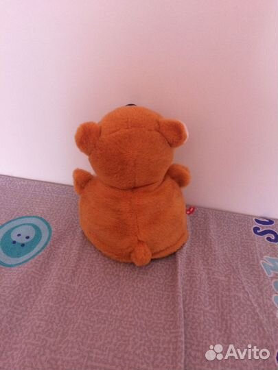 Животные Перевертыши