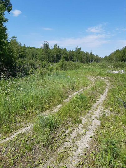 Участок 2,5 га (СНТ, ДНП)