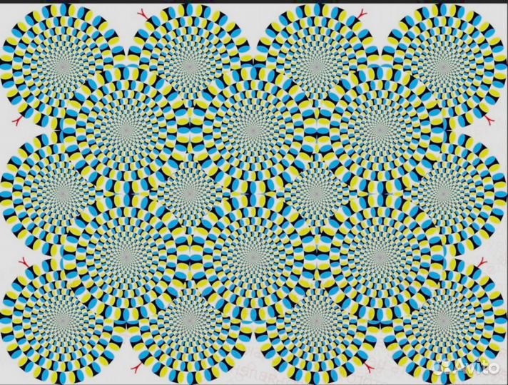 Приглашаем Грузчика Еженедельный аванс /Еда беспл