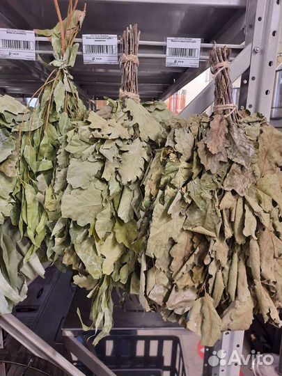 Веник для бани ассортимент