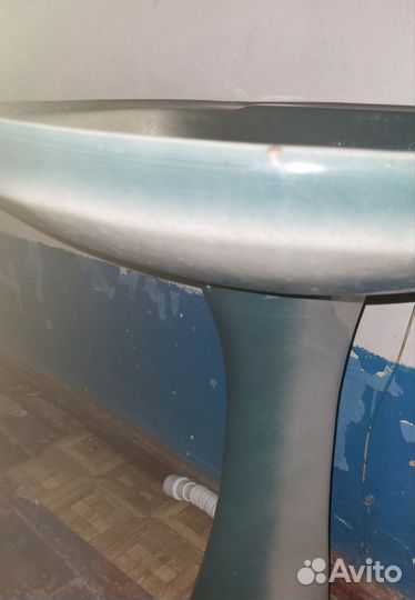 Раковина тюльпан